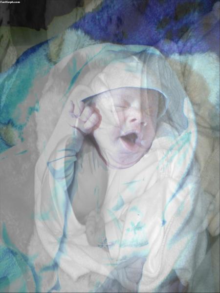 voila encore ma ptite soeur